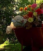 Filename=1963.jpg
Filesize=163KiB
Dimensions=1922x818
Date added=Oct 28, 2020 1963.jpg