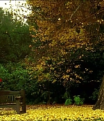 Filename=2205.jpg
Filesize=211KiB
Dimensions=1922x818
Date added=Oct 28, 2020 2205.jpg