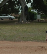Filename=2000.jpg
Filesize=124KiB
Dimensions=1922x1038
Date added=Apr 14, 2020 2000.jpg