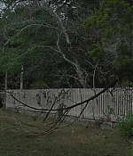 Filename=2389.jpg
Filesize=251KiB
Dimensions=1922x1038
Date added=Apr 14, 2020 2389.jpg