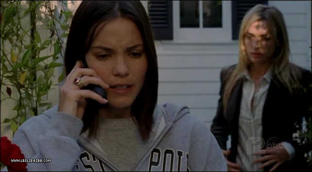 0231.jpg 0231.jpg